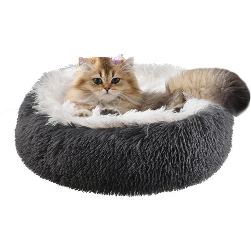 Cat beds are relaxing for indoor cats